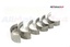 BEARING SET 010 MAIN