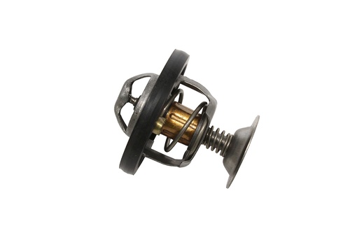 Termostato 300 Tdi OEM