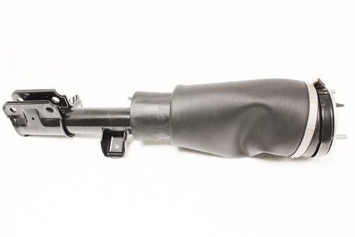 SHOCK ABSORBER AND AIR SPRING - RH