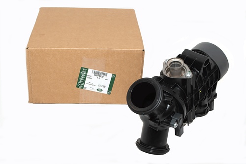 THROTTLE BODY AND MOTOR