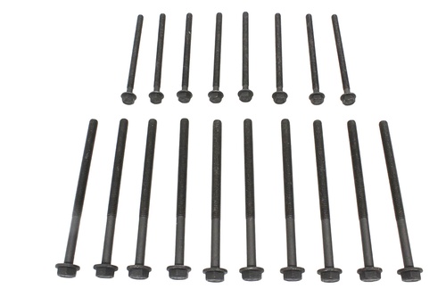 HEAD BOLT SET PUMA 2.4