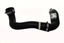 HOSE - INTERCOOLER
