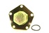 Falange reforçada Terrafirma Disc1/ Defender/ RRC