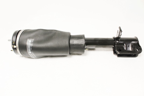 DAMPER - ASSEMBLY - FRONT SUSPENSION