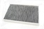 FILTER - POLLEN - HEATER ASSEMBLY