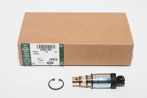 KIT - VALVE REPAIR