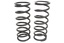 TERRAFIRMA STD HEIGHT FRONT COIL SPRINGS DEF 90 PAIR