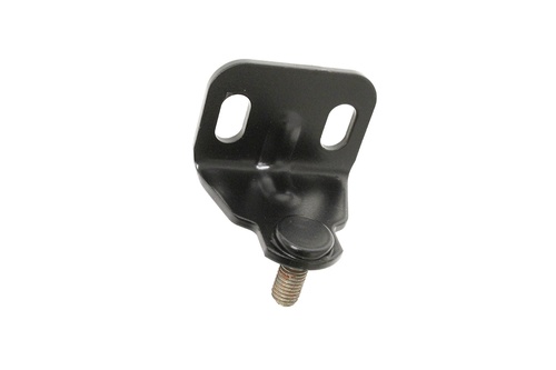 BRACKET - REAR DOOR CHECK ARM PIVOT