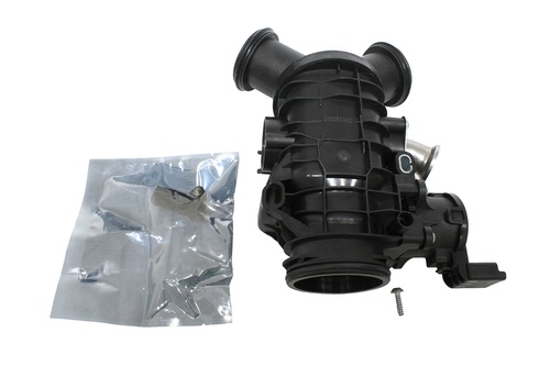 THROTTLE BODY AND MOTOR