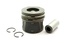 PISTON ASSY STD TDV6 2.7