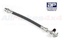 BRAKE HOSE ASSY REAR