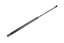 LIFT ASSEMBLY - GAS - REAR DOOR