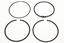 RING SET STD(PISTON)