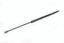 GAS STRUT - TAILGATE