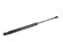 GAS STRUT - BONNET - HOOD