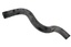 HOSE TOP RADIATOR