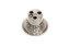 GEAR CRANKSHAFT