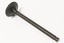 EXHAUST VALVE