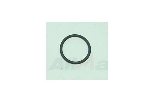 O´Ring Injetor TD5