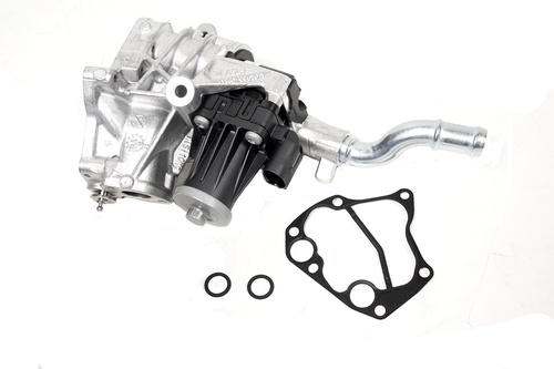 EGR VALVE AND GASKET