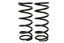 Molas traseiras OME (par) Defender 110 e 130