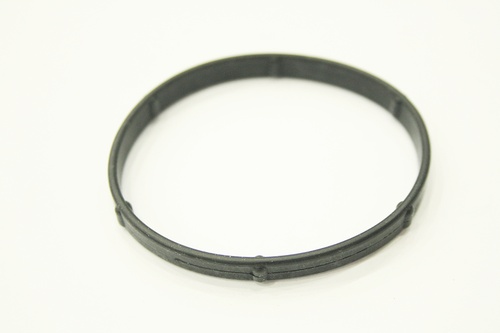 THERMOSTAT SEAL