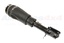 SHOCK ABSORBER AND AIR SPRING - RH