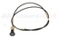 CHOKE CABLE