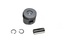 PISTON ASSY -020