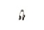 CLIP - EDGE