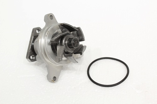 Bomba de Água Freelander 2
