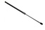 STRUT - GAS - REAR DOOR