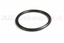 SEAL RUBBER
