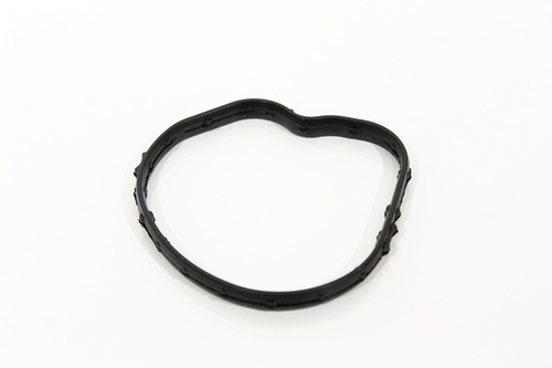 THERMOSTAT SEAL