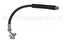 HOSE - BRAKE - REAR