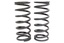 TERRAFIRMA 1" LOWERED REAR SPRINGS (PAIR) DEF 90