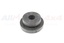BUSH - RADIATOR MOUNTING