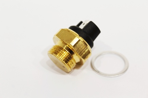 THERMO SWITCH